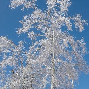 Meet your Posher, Judith